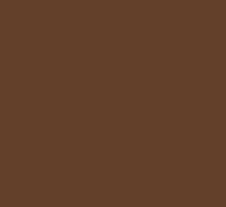 paq. 10h goma eva faibo 40x60cm 1.9mm marron