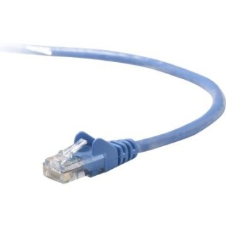 latigullo belkin a3l793bt02mblhs ftp categoria 5 2m azul