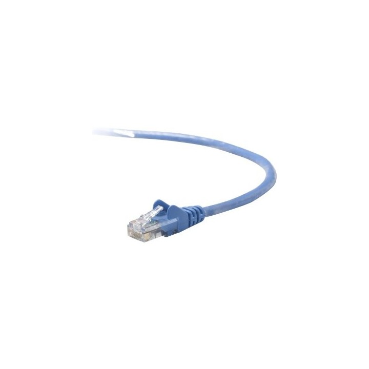 latigullo belkin a3l793bt02mblhs ftp categoria 5 2m azul
