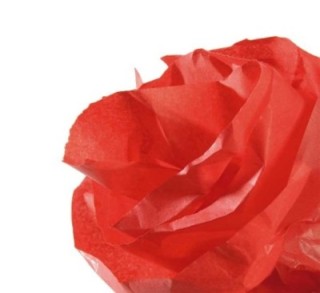 el papel de seda canson no tiene pliegue y es tenido en la masa para una mejor conservacion del colo