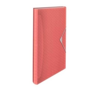 carpeta acordeon para proyectos en formato a4. para organizar documentos en un solo lugar. organiza
