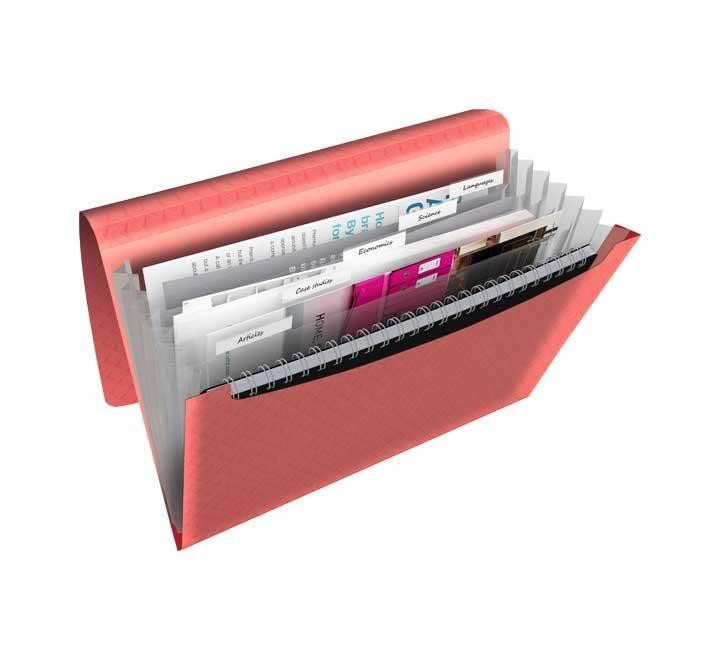 carpeta acordeon para proyectos en formato a4. para organizar documentos en un solo lugar. organiza