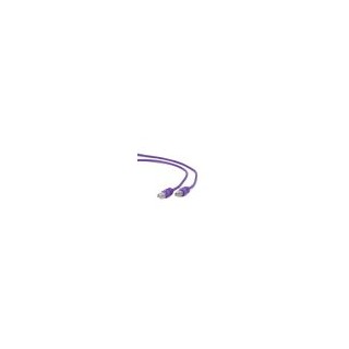 cable red cat5e gembird utp violeta 0,5 m