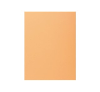 c.100 subcarp. exacompta super 160 sol. lat. crema