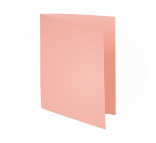 c.100 subcarp. exacompta forever 220gr rosa