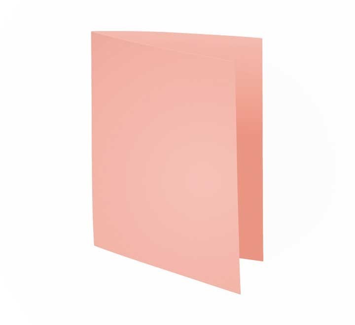 c.100 subcarp. exacompta forever 220gr rosa
