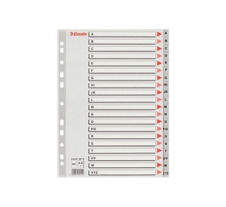 indice esselte abc pp a4 az con carat gris