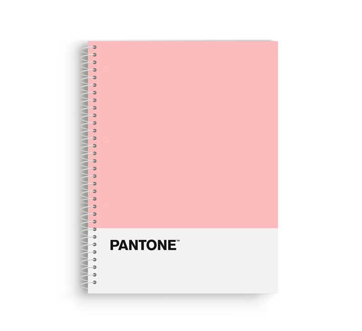 cuad. escolofi pantone basic a4 80h 5x5 90gr ros