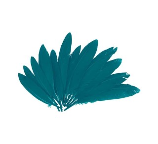 b. 60 plumas indio innspiro 25x140mm azul