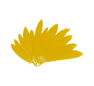b. 60 plumas indio innspiro 25x140mm amarillo