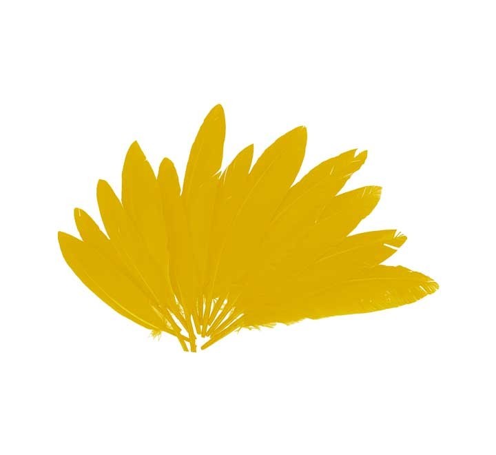 b. 60 plumas indio innspiro 25x140mm amarillo