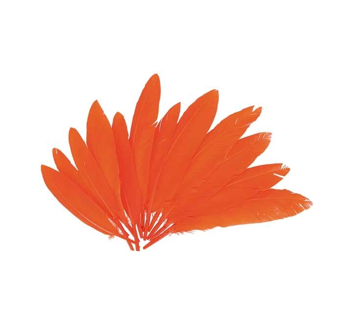 b. 60 plumas indio innspiro 25x140mm naranja