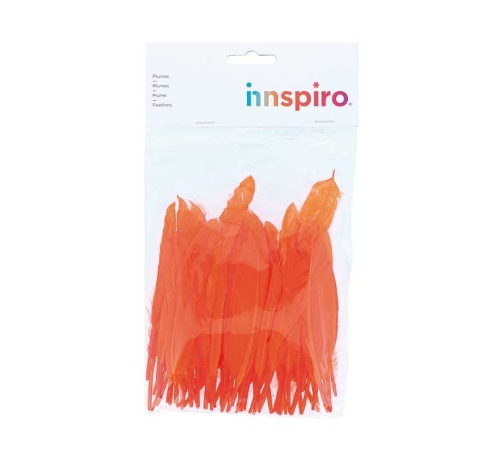b. 60 plumas indio innspiro 25x140mm naranja