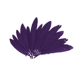 b. 60 plumas indio innspiro 25x140mm lila