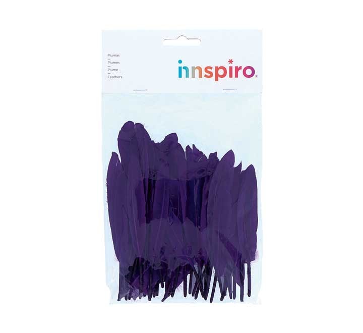 b. 60 plumas indio innspiro 25x140mm lila